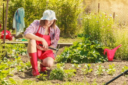 Seasonal garden maintenance in Covent Garden