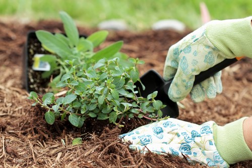 Environmental sustainability in tree services