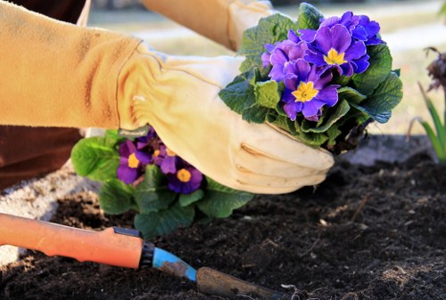 Essential plants for Covent Garden gardens
