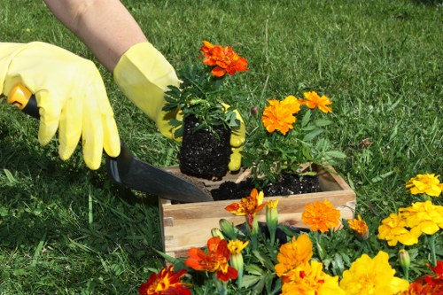 Sustainable gardening practices in Covent Garden