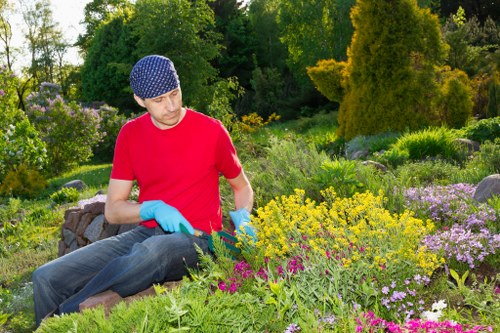 Eco-friendly lawn mowing practices