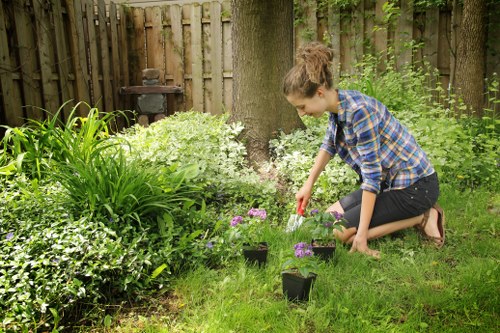 Professional gardener trimming hedges